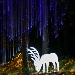 乐园-整曲 伴奏