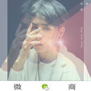 微商（世界微商推广宣传曲）