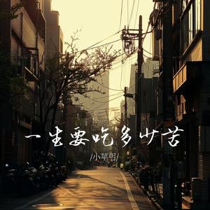 一生要吃多少苦