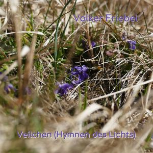 Veilchen (Hymnen des Lichts)