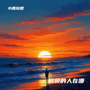 同频的人在哪