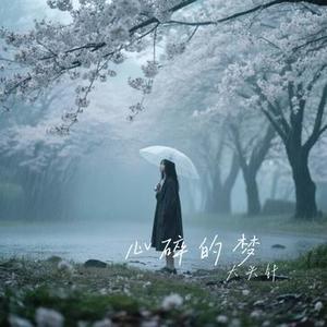 心碎的梦