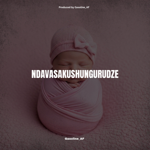 Ndavasakushugurudze