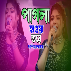 পাগলা হাওয়া তরে