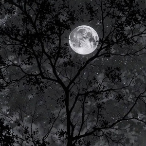 ยังคิดถึง