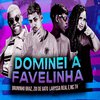 Zoi de Gato - Dominei a Favelinha (feat. Mc Th)