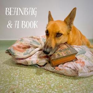 Beanbag and a Book