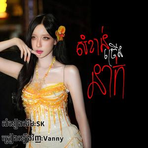 សំខាន់ច្រើននាក់/Cover:Vanny