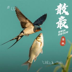 飞鸟爱上鱼（丐版）