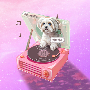 다시 시작하면 돼