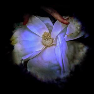 Recall (feat. max lee & Shadow Tag)