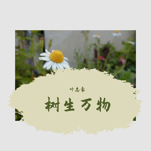 树生万物 (Current)