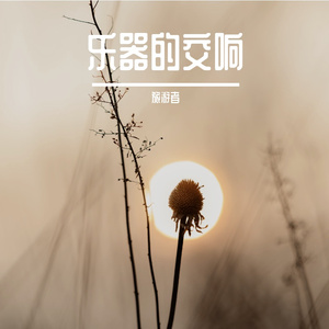 操盘手与搬砖人生