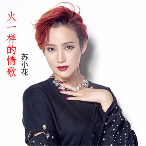 火一样的情歌 (DJ阿远 Extended Mix)