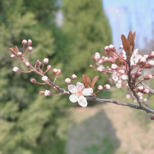 最美的瞬间（抖音热搜版）