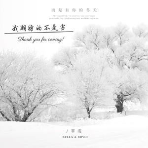 我期待的不是雪 (抖音版)