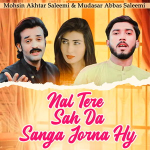 Nal Tere Sah Da Sanga Jorna Hy