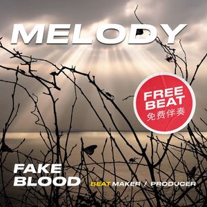 [免费伴奏FREE BEAT]‘melody’ melodic trap beat