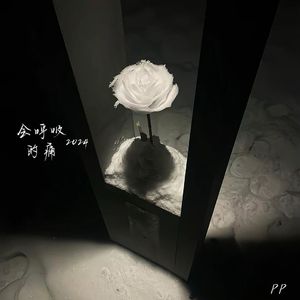 会呼吸的痛·2024