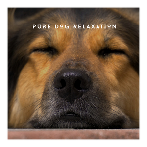 Music For A Dog At Home Alone