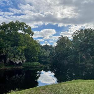 Softly, As In A Morning Sunrise