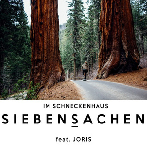 Im Schneckenhaus  (Siebensachen Remix)