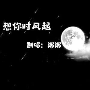 想你时风起（Cover: 单以纯）