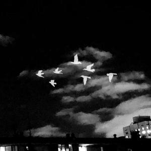 生活又不是热血动漫