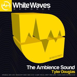 The Ambience Sound (Albio Vocal Drift Rmx)