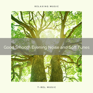 Soft Whisper and the Power of Music of Brown Noise of Life