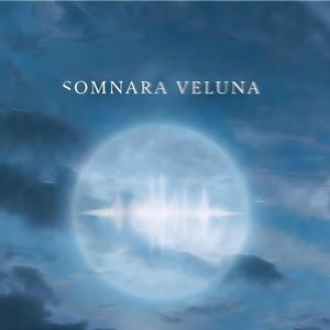 Теплый берег