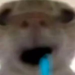 乱世巨星 (小八版)