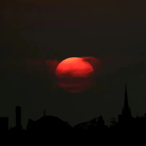 Lin Wanyu（林宛瑜）