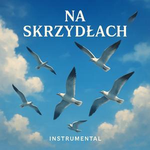 Raca - Na skrzydłach (Instrumental)