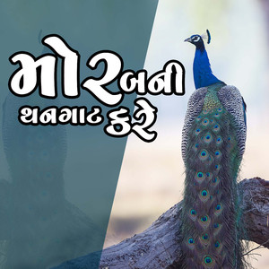 Mor Bani Thanghat Kare (Garba Medle)