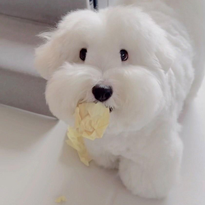 싸우지 말자 ㅠㅠ (Feat. seoseo (서서))