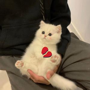 绝不可能爱我REMIX