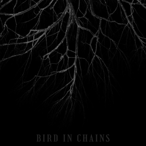 Bird in Chains