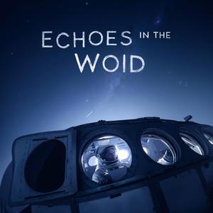 Echoes In The Void
