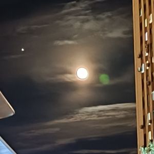 未知歌手 - 走马 (0.8x)