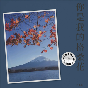 你是我的格桑花DJ版