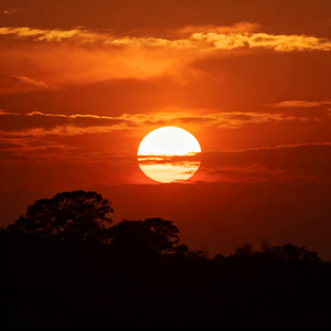 假如早一点相遇
