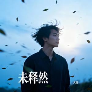 未释然