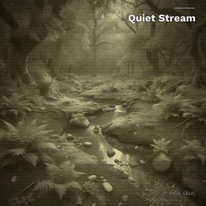 Quiet Stream