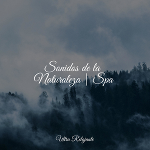 Sonido Relajante