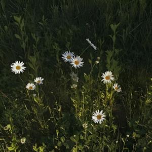 Falling asleep slowly