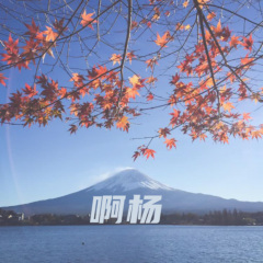 你不坚强没人陪你哭 (烟嗓版)