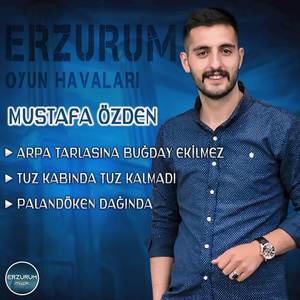 Erzurum Oyun Havaları (Arpa Tarlasına Buğday Ekilmez, Tuz Kabında Tuz Kalmadı, Palandöken Dağında)