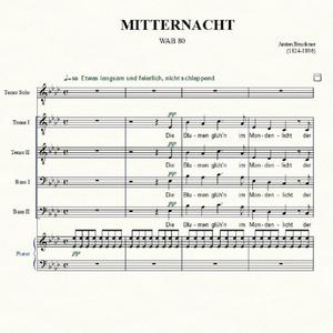 Bruckner, MITTERNACHT, Part for Tenor Solo (From measure 48)