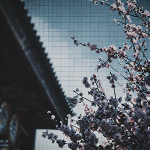 蝉時雨 (feat. 花隈千冬)